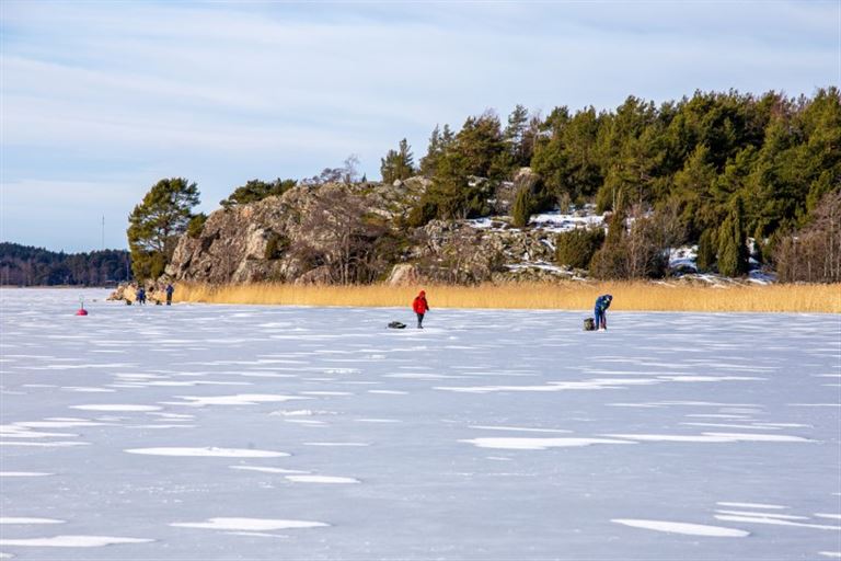 Urlaub für Körper & Seele @samuli /adobestock